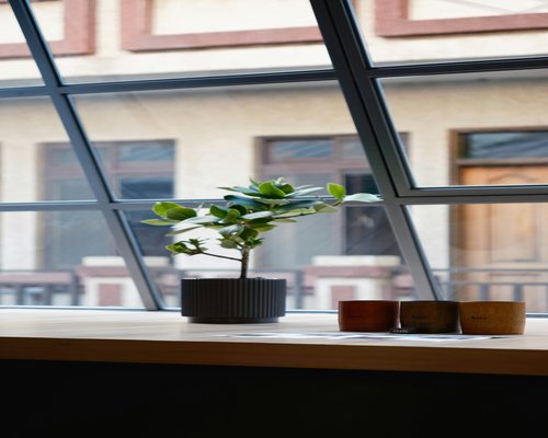 minimalist workspace with green plant representing balanced lifestyle